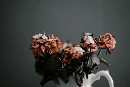 The Power of Self-Care in Healthy Relationships