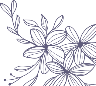 vector graphic